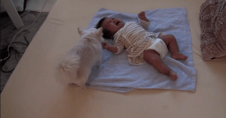 Ova beba nije prestajala plakati, a onda je pas uradio nešto preslatko (VIDEO) 