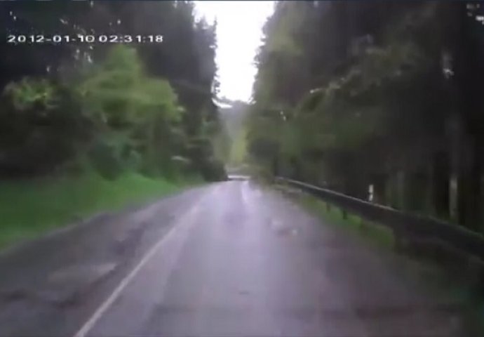 Vozio se sa svojom suprugom zabačenom cestom kroz šumu, ono što je doživio ovaj par ne viđa se ni na filmovima (VIDEO)