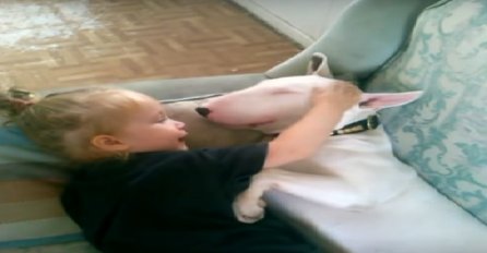 Mala djevojčica je legla pored terijera na kauču, ono što je majka snimila će vas ostaviti u nevjerici (VIDEO)