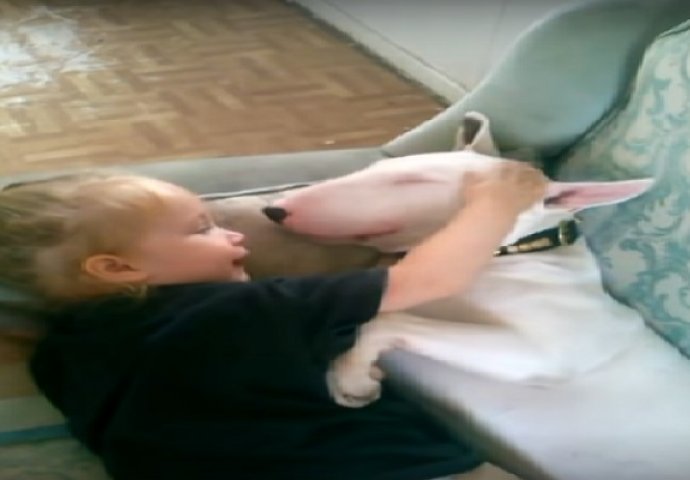 Mala djevojčica je legla pored terijera na kauču, ono što je majka snimila će vas ostaviti u nevjerici (VIDEO)
