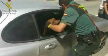 U zadnji čas: Pogledajte kako su policajci spasili psa od sigurne smrti (VIDEO)