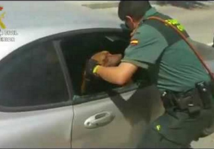 U zadnji čas: Pogledajte kako su policajci spasili psa od sigurne smrti (VIDEO)