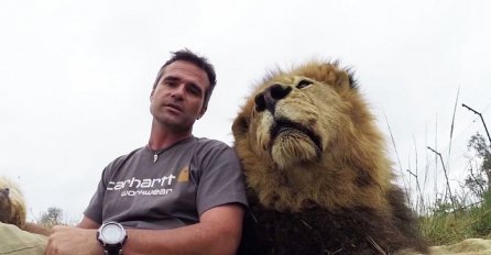 Legao je pored lava i pokušao se obratiti kameri, ali lav je imao druge planove (VIDEO)