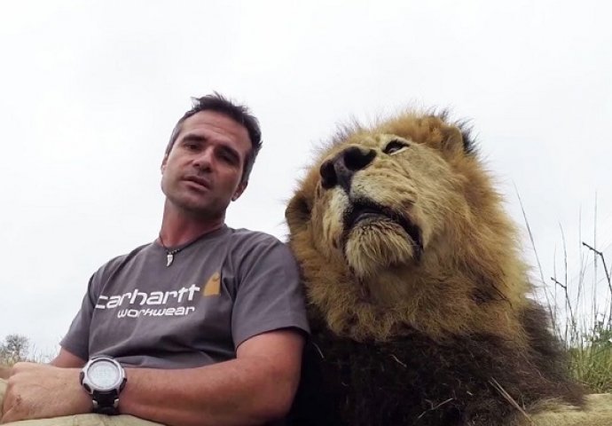 Legao je pored lava i pokušao se obratiti kameri, ali lav je imao druge planove (VIDEO)