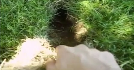 Čovjek je odlučio provjeriti rupu u svome dvorištu, ono što je pronašao je neprocjenjivo (VIDEO)