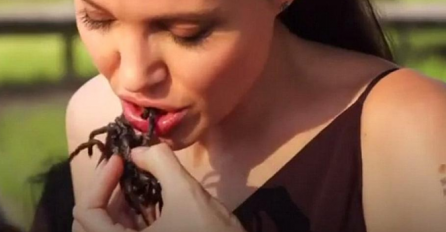 Angie s djecom jela pauke i škorpione  a razlog će vas oduševiti (VIDEO)