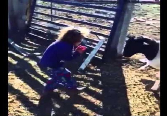 Ova djevojčica je htjela samo da poljubi kozu, ali nakon ovoga će sigurno cijeli život imati noćne more (VIDEO)