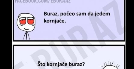 Buraz je počeo da jede kornjače