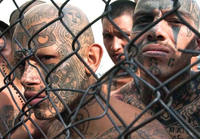 Ovo su najopasnije bande na svijetu, njima se niko ne smije suprostaviti (VIDEO)