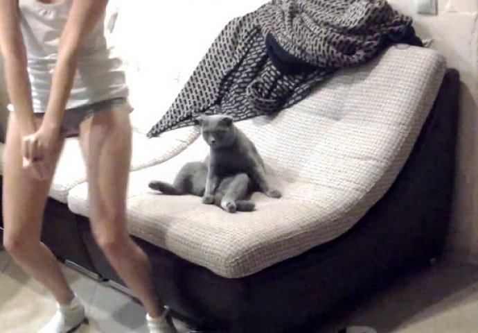 Skinula se u gaćice i počela seksi ples ispred svog mačka, njegova reakcija nasmijala je milione (VIDEO)
