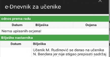 Njemu ni pedagoška služba neće pomoći