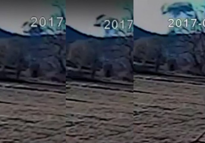 STRAVIČNA SCENA: Ovako je izgledalo kada je eksplodirao vojni objekat u Kragujevcu! (VIDEO)