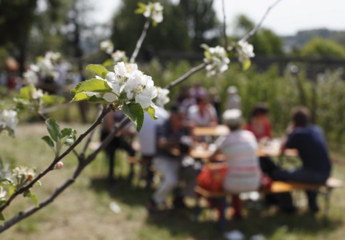 NARODNA VJEROVANJA ZA MART: Ako se udaš kada martovski vjetar duva, imaćeš...