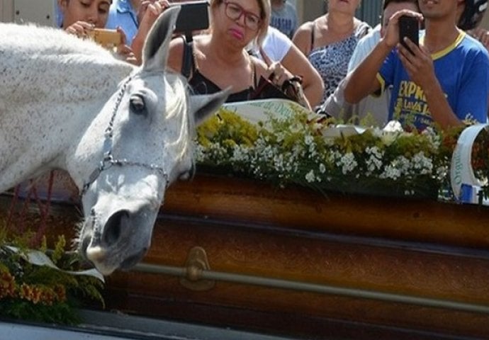 Dirnuo je sve: Konj naslanjao glavu na kovčeg vlasnika (VIDEO)