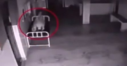 Kamere u bolnici snimile trenutak kada duša napušta tijelo odmah nakon smrti (VIDEO)