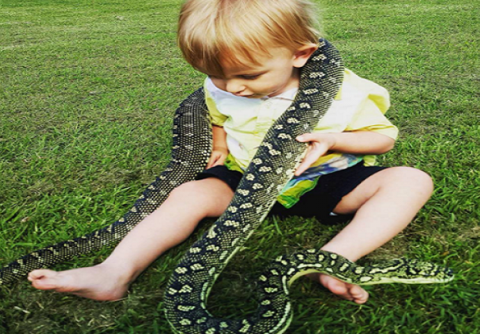  Jednogodišnjak  obožava da hvata zmije i igra se s njima (FOTO)