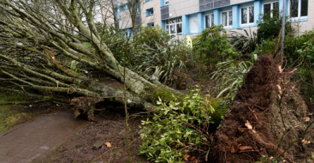 Oluja u Francuskoj, dvije osobe poginule, 600.000 domaćinstava bez struje