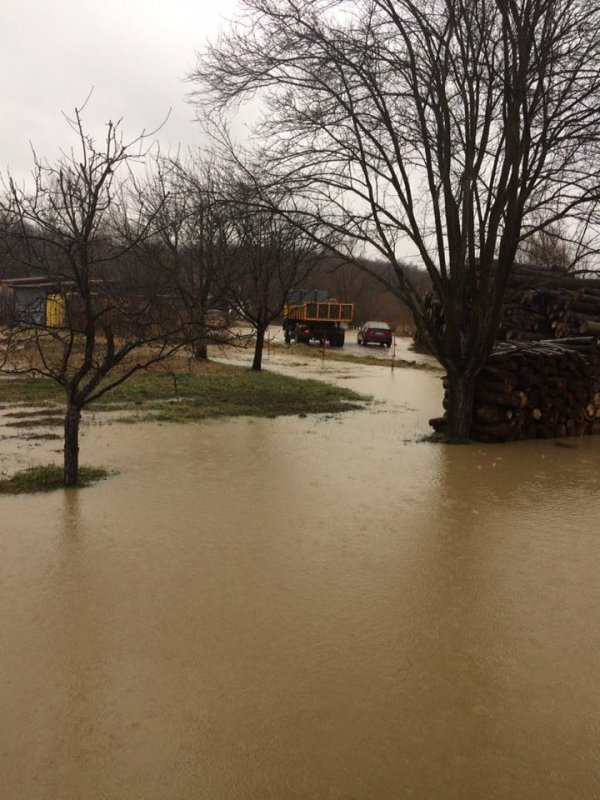 58bf0ba1-8b94-4e50-8650-5f560a0a0a64-17156297-1319578854758254-9088414040147046039-n