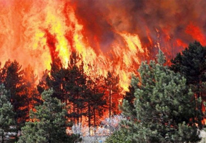 Devetnaest maloljetnika nastradalo u požaru