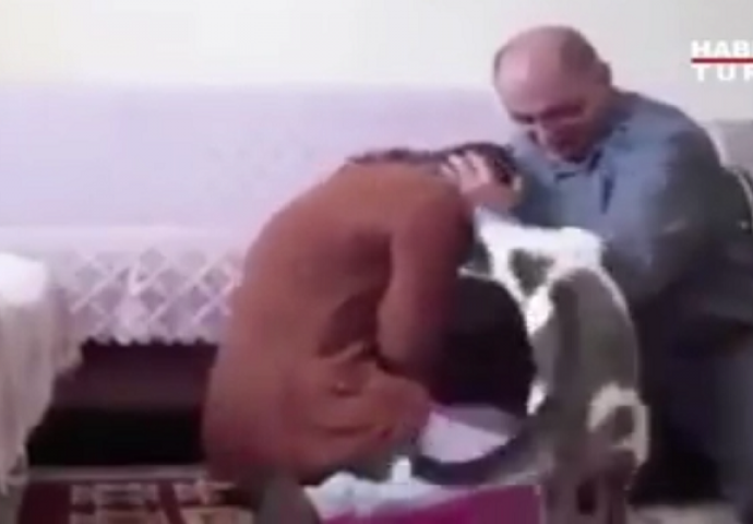 Čovjek je krenuo da udara ženu, a onda je maca uradila nešto sasvim neočekivano (VIDEO) 