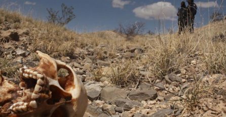 MEKSIKO: U masovnoj grobnici narkokartela pronađeno 250 lobanja