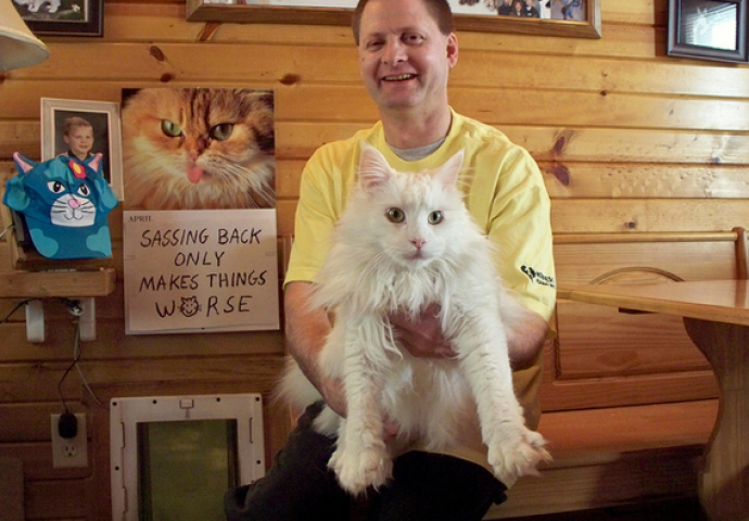 Njegova kuća je "san" svake mačke: Kada vidite šta je za njih izgradio, nećete ostati ravnodušni (VIDEO)