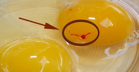 Znate li zašto žumanjak jajeta ponekad ima krvavu tačku? (VIDEO)