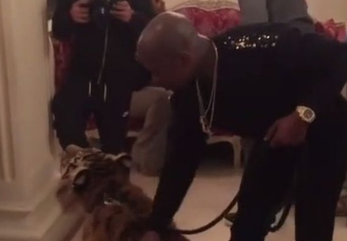 Floydov provod: Tigrovi ga vukli po hotelu 