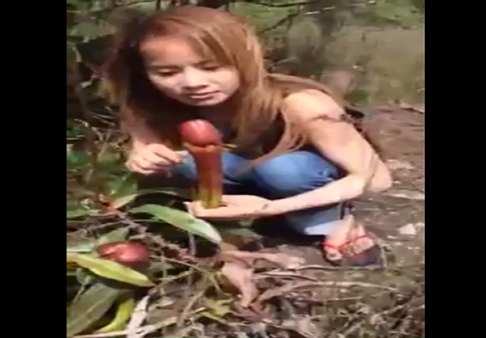 Kada vidite na šta su ove žene naišle u šumi, past ćete sa stolice (VIDEO) 