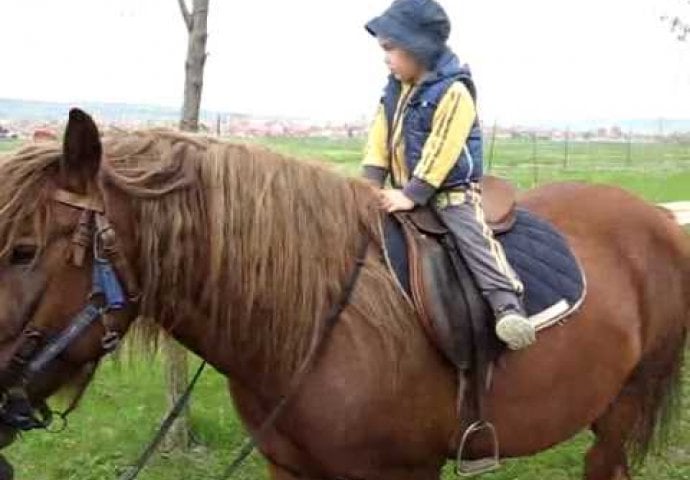 Želite pametno dijete? Odvedite ga na jahanje!