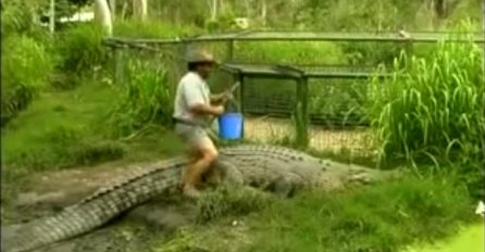 Odlučio je da krokodilu sjedne na leđa, no bolje da nije (VIDEO)