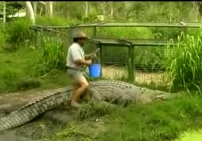 Odlučio je da krokodilu sjedne na leđa, no bolje da nije (VIDEO)