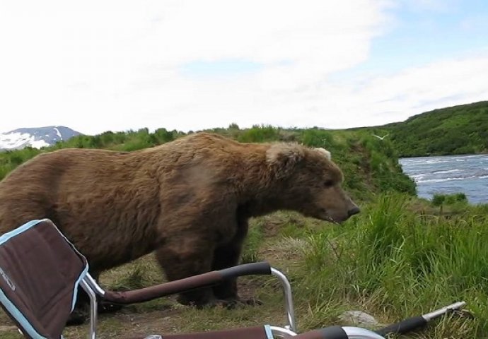 Sjedio je pored rijeke kada je prišao medvjed, nije mogao vjerovati šta se desilo (VIDEO)