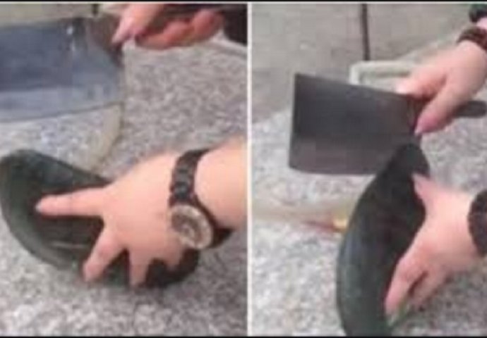 Uzela je sataru i rasjekla ogromnu školjku: Kada ju je otvorila, umalo je pala u nesvijest (VIDEO)