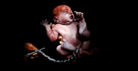 Nevjerojatne snimke beba u prvih 20 sekundi života