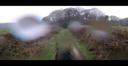 Sjeo je na starog trkaćeg konja i krenuo u šetnju šumom: Samo par trenutaka kasnije, doživio je nešto što će dugo pamtiti (VIDEO)