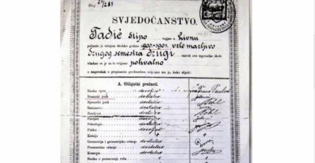 NEPOBITNI DOKAZ: Stipo Tadić je u školskoj 1900/1901 godini u Trgovačkoj školi Livno imao bosanski jezik!