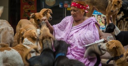 Ovo je žena dobrog srca koja se brine za čak 400 pasa koji su završili na ulici (VIDEO)
