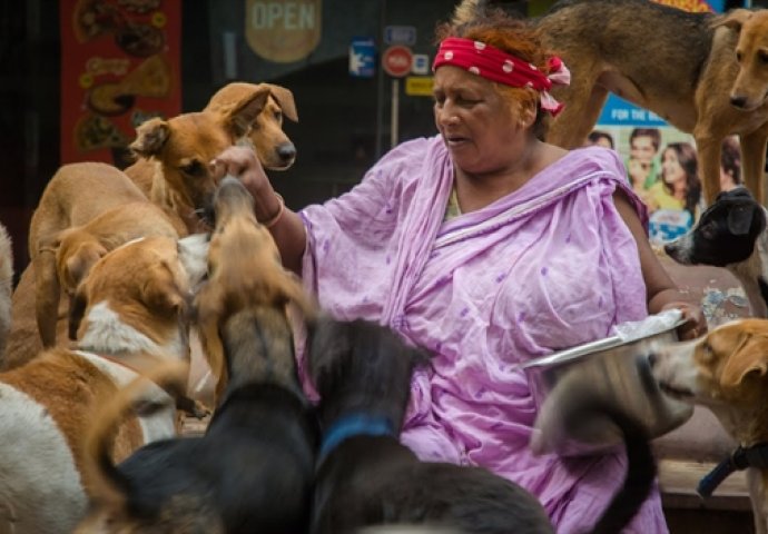 Ovo je žena dobrog srca koja se brine za čak 400 pasa koji su završili na ulici (VIDEO)