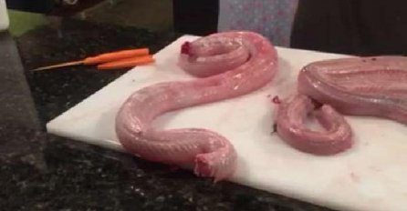 Kuhar u restoranu odsijekao zmiji glavu, no 16 sati kasnije događa se nešto neočekivano (VIDEO)