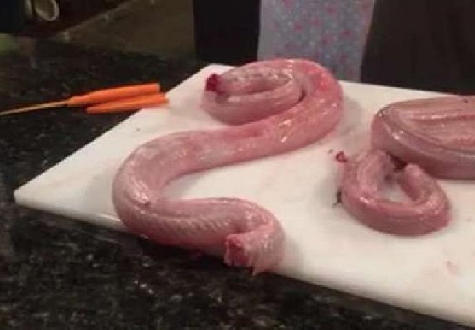 Kuhar u restoranu odsijekao zmiji glavu, no 16 sati kasnije događa se nešto neočekivano (VIDEO)