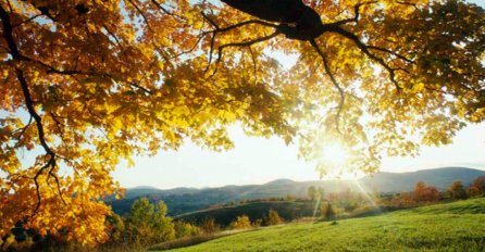 Danas nas očekuje sunčano vrijeme, temperatura do 25 stepeni