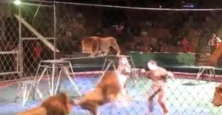 Gledatelji u šoku gledali kako lavovi u cirkusu komadaju krotitelja (VIDEO)