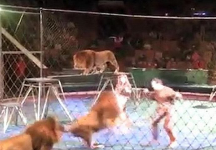 Gledatelji u šoku gledali kako lavovi u cirkusu komadaju krotitelja (VIDEO)