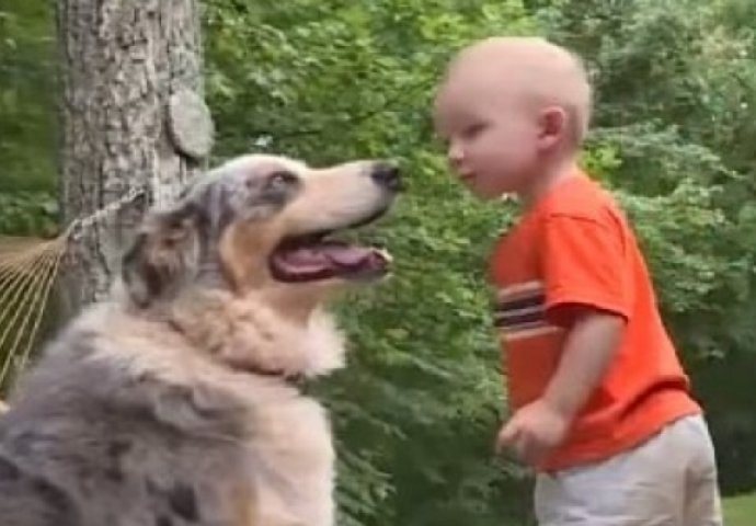 Otac gledao kako pas jurio prema njegovom sinu: U trenutku je shvatio jezivu istinu (VIDEO)