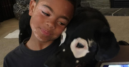 Spojio ih vitiligo: Bjelooki pas potiče djecu da vole svoju kožu 