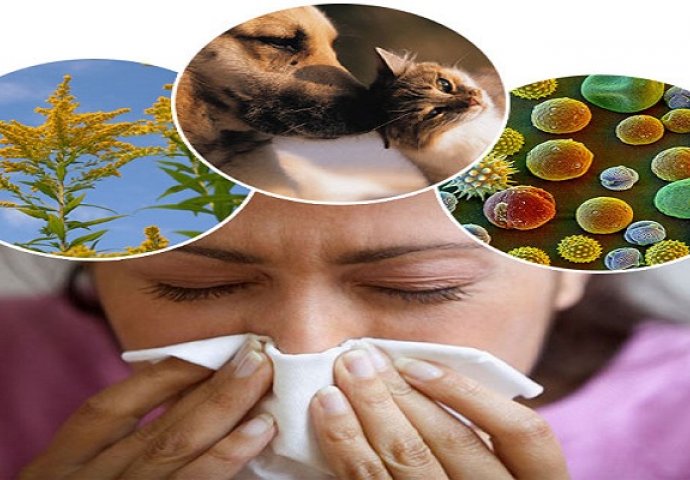 7 alergija koje su u porastu: otkrijte jeste li ugroženi