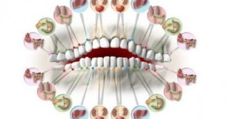 Svaki zub je povezan sa nekim organom u tijelu: Bol u zubu predviđa probleme pojedinog organa!