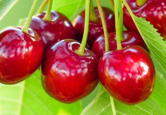 20 trešanja ima 10 puta jače dejstvo od ASPIRINA