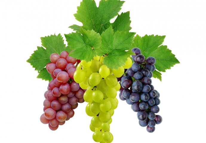 Sjeme GROŽĐA učinkovitije i od KEMOTERAPIJE 